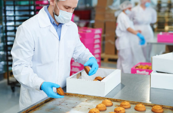 Food Production Factory Packaging Section