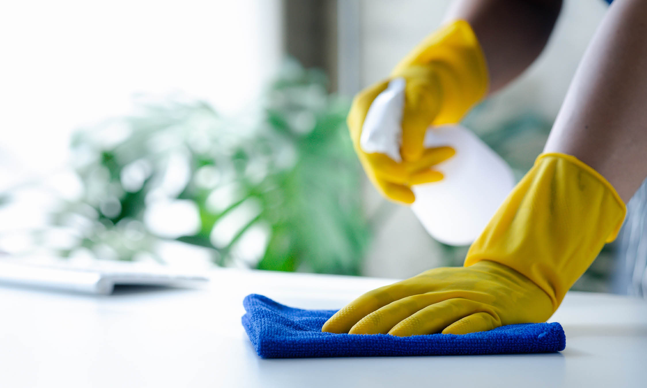 janitor cleaning with antibacterial spray and cloth